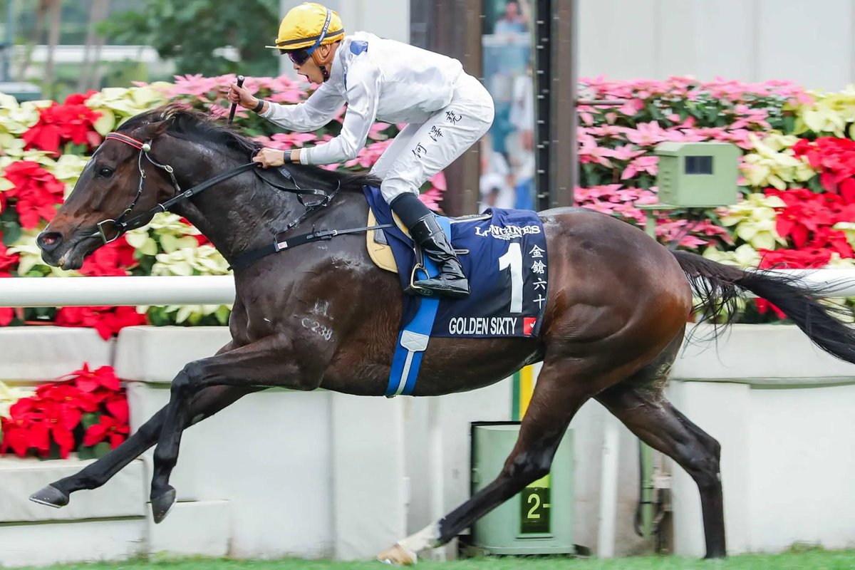Magic Millions tweet media