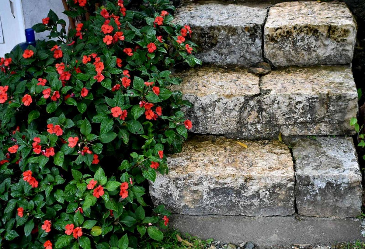 DreamYardTeam's tweet image. Landscaping steps.  Large cut stone block steps. Simple but effective. The flowering shrub growth is a nice finishing touch. 
#landscapingsteps #stonesteps #landscapingideas #dreamyard