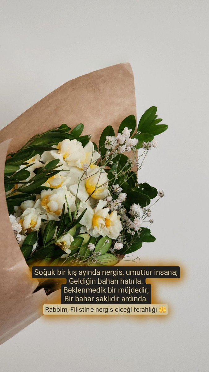 Düşünsenize, Filistin'i nergislerle donatıyoruz. O izzetli insanlarla birlikte nergisler ekiyoruz o kutsal topraklara... 
Var bir hayalimiz.
Ama önce #GazaStarving !
