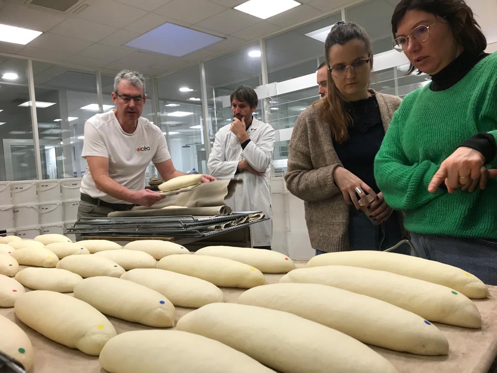 Florimond Desprez tweet media