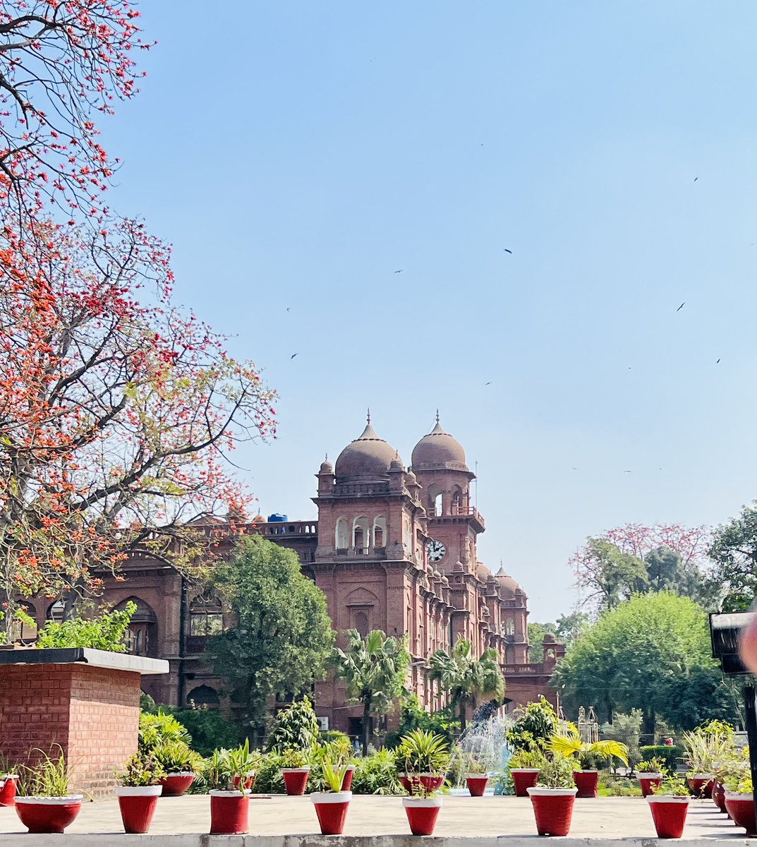 #University The University Of The Punjab Old campus Anarkali #resign #Resign #Airdrop #ShahMahmoodQureshi