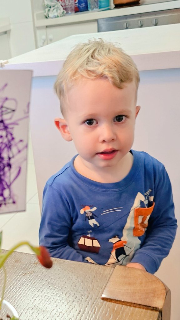 Harald Doornbos tweet media