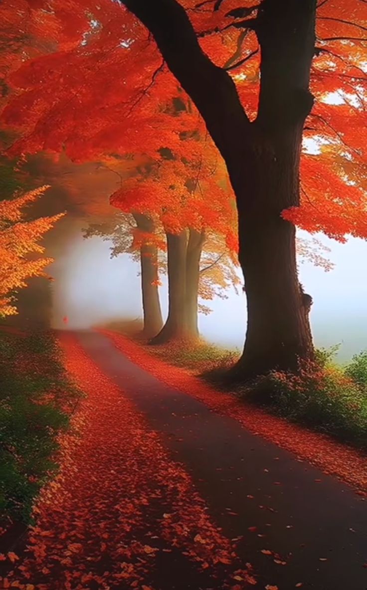 meharmabinazan's tweet image. Have A Beautiful Day ❤️🧡🤎