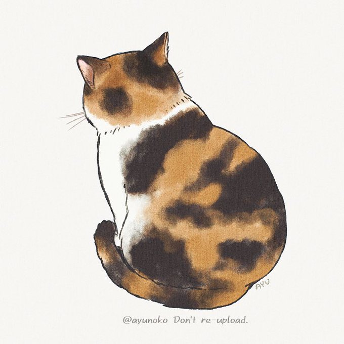 「calico white background」 illustration images(Latest)