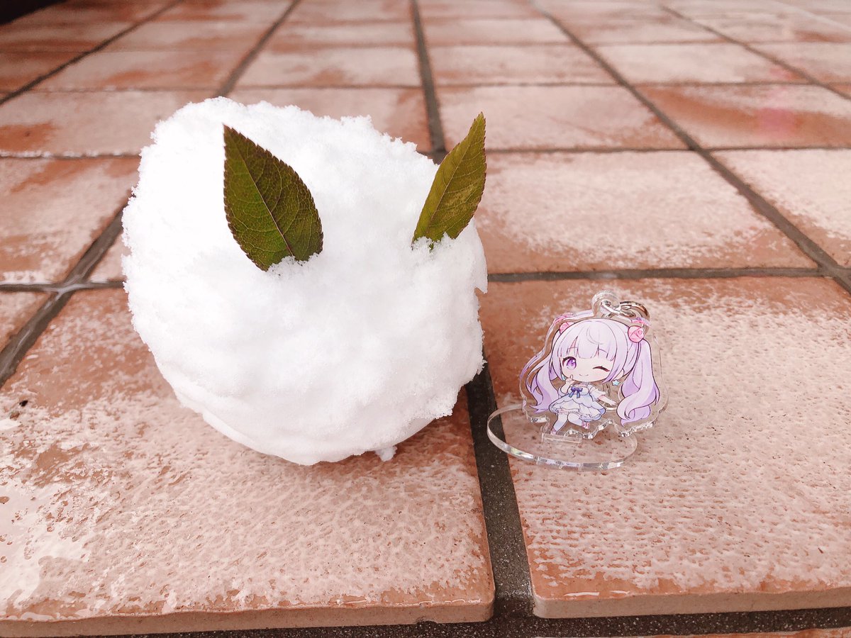 shinya8141's tweet photo. うさぎ〜🐇❄️

#あまふわローズ https://t.co/UpafedS8aZ