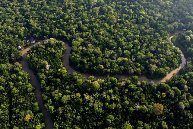 Ireland in Brazil (@irlandanobrasil) on Twitter photo Congratulations to Brazil on last year’s reduction in deforestation in the Amazon. Deforestation in the Amazon fell by nearly 50% in 2023 compared to the previous year, the lowest rate recorded in the last 5 years. 🌎🌳🌲💚
<a href="/MichealMartinTD/">Micheál Martin</a> <a href="/EamonRyan/">Eamon Ryan</a> <a href="/Irish_Aid/">Irish Aid</a> Congratulations to Brazil on last year’s reduction in deforestation in the Amazon. Deforestation in the Amazon fell by nearly 50% in 2023 compared to the previous year, the lowest rate recorded in the last 5 years. 🌎🌳🌲💚
<a href="/MichealMartinTD/">Micheál Martin</a> <a href="/EamonRyan/">Eamon Ryan</a> <a href="/Irish_Aid/">Irish Aid</a>
