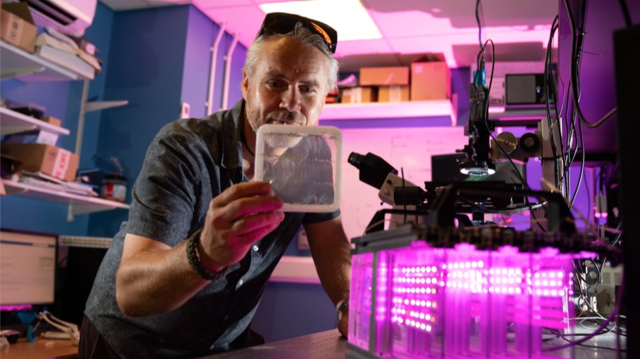 BioImagingUK (@bioimaginguk) on Twitter photo Thrilled that <a href="/BBSRC/">Biotechnology and Biological Sciences Research</a> have chosen 4 #bioimaging projects in their 2024 Impact Showcase funded by the Business Interaction Vouchers delivered by <a href="/RoyalMicroSoc/">RMS</a>
Here's 1/4:
From leaves to roots – imaging phosphites inside plants to improve crop production
discover.ukri.org/from-leaves-to… Thrilled that <a href="/BBSRC/">Biotechnology and Biological Sciences Research</a> have chosen 4 #bioimaging projects in their 2024 Impact Showcase funded by the Business Interaction Vouchers delivered by <a href="/RoyalMicroSoc/">RMS</a>
Here's 1/4:
From leaves to roots – imaging phosphites inside plants to improve crop production
discover.ukri.org/from-leaves-to…