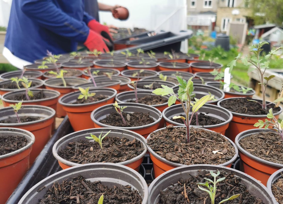 Growing Works (@growingworks) on Twitter photo Massive thanks to The National Lottery for supporting Growing Works Bud project at Dalton!
The funding supports sessions every Tuesday and Thursday morning providing supportive outdoor group for adults.
Contact Rachel on 07845 415289 or info@growingworks.org.uk.
<a href="/TNLComFund/">The National Lottery Community Fund</a> Massive thanks to The National Lottery for supporting Growing Works Bud project at Dalton!
The funding supports sessions every Tuesday and Thursday morning providing supportive outdoor group for adults.
Contact Rachel on 07845 415289 or info@growingworks.org.uk.
<a href="/TNLComFund/">The National Lottery Community Fund</a>