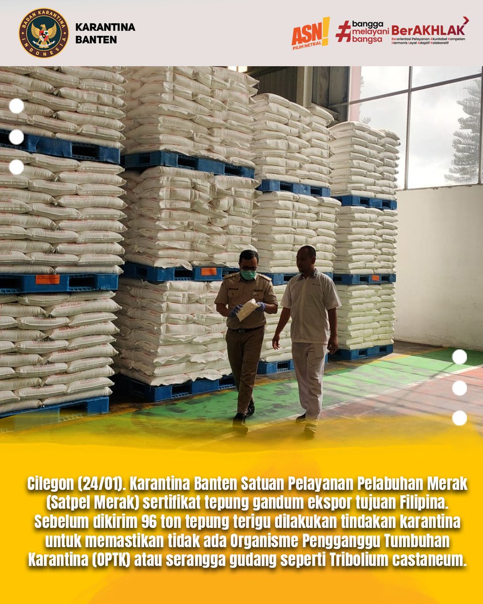 KarantinaSHT's tweet photo. Bebas Tribolium castaneum, Karantina Sertifikat Ekspor Tepung Gandum ke Filipina

#FasilitasiPerdagangan
#KarantinaBanten https://t.co/wMy6AuVcxh