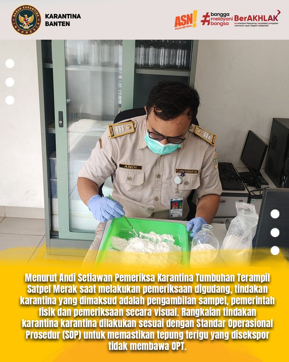 KarantinaSHT's tweet photo. Bebas Tribolium castaneum, Karantina Sertifikat Ekspor Tepung Gandum ke Filipina

#FasilitasiPerdagangan
#KarantinaBanten https://t.co/wMy6AuVcxh