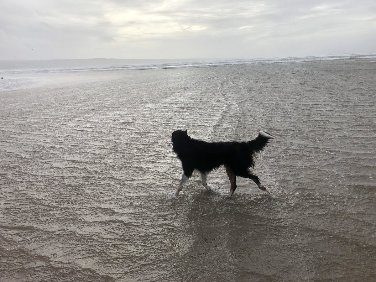 Vet told me this was a great way to help a nasty cut on his leg heal, ‘not in the summer of course’. It’s mad that we all know and accept that (literal) shit and farm run-off fills the rivers and sea half of the year.