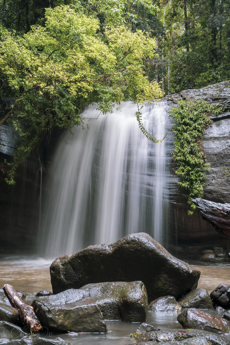 Went on an adventure a couple of weeks ago. I guess with all the rain coming we might have a few more of these around soon. #sunshinecoast #queensland #waterfalls