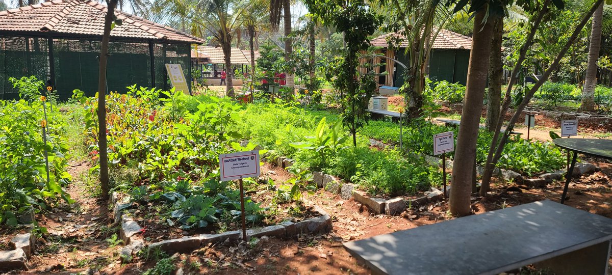 santosh pitla (@santoshpitla) on Twitter photo Circular systems in action, it was really cool to visit <a href="/akshayakalpa/">Akshayakalpa Organic</a> organic dairy farm !! #circularbioeconomy #regenerativefarming #farmersempowerment , thanks for this opportunity <a href="/SreeSiddaganga/">Siddaganga Institute of Technology</a> for this opportunity!! Circular systems in action, it was really cool to visit <a href="/akshayakalpa/">Akshayakalpa Organic</a> organic dairy farm !! #circularbioeconomy #regenerativefarming #farmersempowerment , thanks for this opportunity <a href="/SreeSiddaganga/">Siddaganga Institute of Technology</a> for this opportunity!!