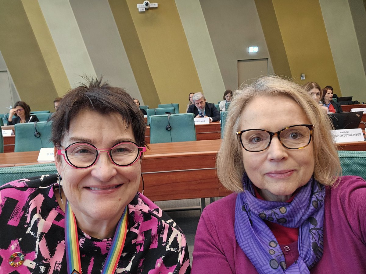 With dear colleague @BayrPetra from @socpace and Equality Committee of Parliamentary Assembly of @coe we are participating in Parliamentary Network Women Free from Violence.