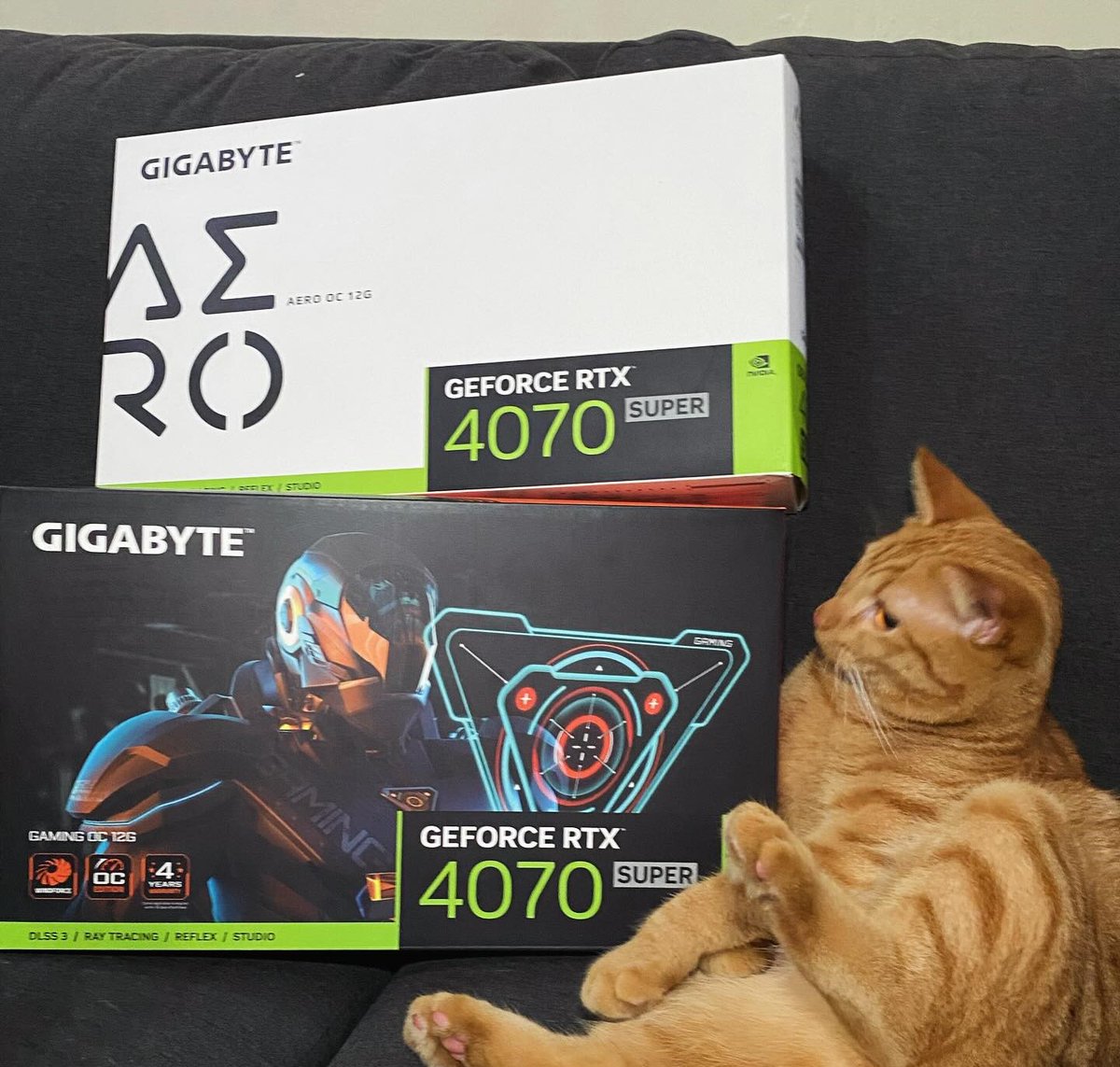 AORUS_ZA's tweet photo. What a great photo!

Are you excited for the brand new GeForce RTX 4070 SUPER series?

#vga #gpu #graphicscard #vgas #gpus #nvidia #nvidiageforce #geforce #rtx #geforcertx #rtx40 #rtx4070super #pcparts #pcassembly #pcgaming #cat #aorus #gigabyte https://t.co/9zlf4ZiE2b