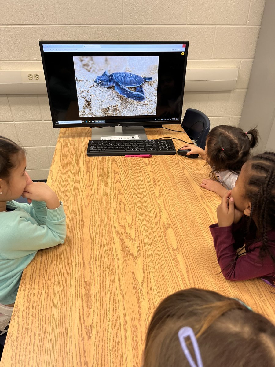 Britannia LLC tweet media