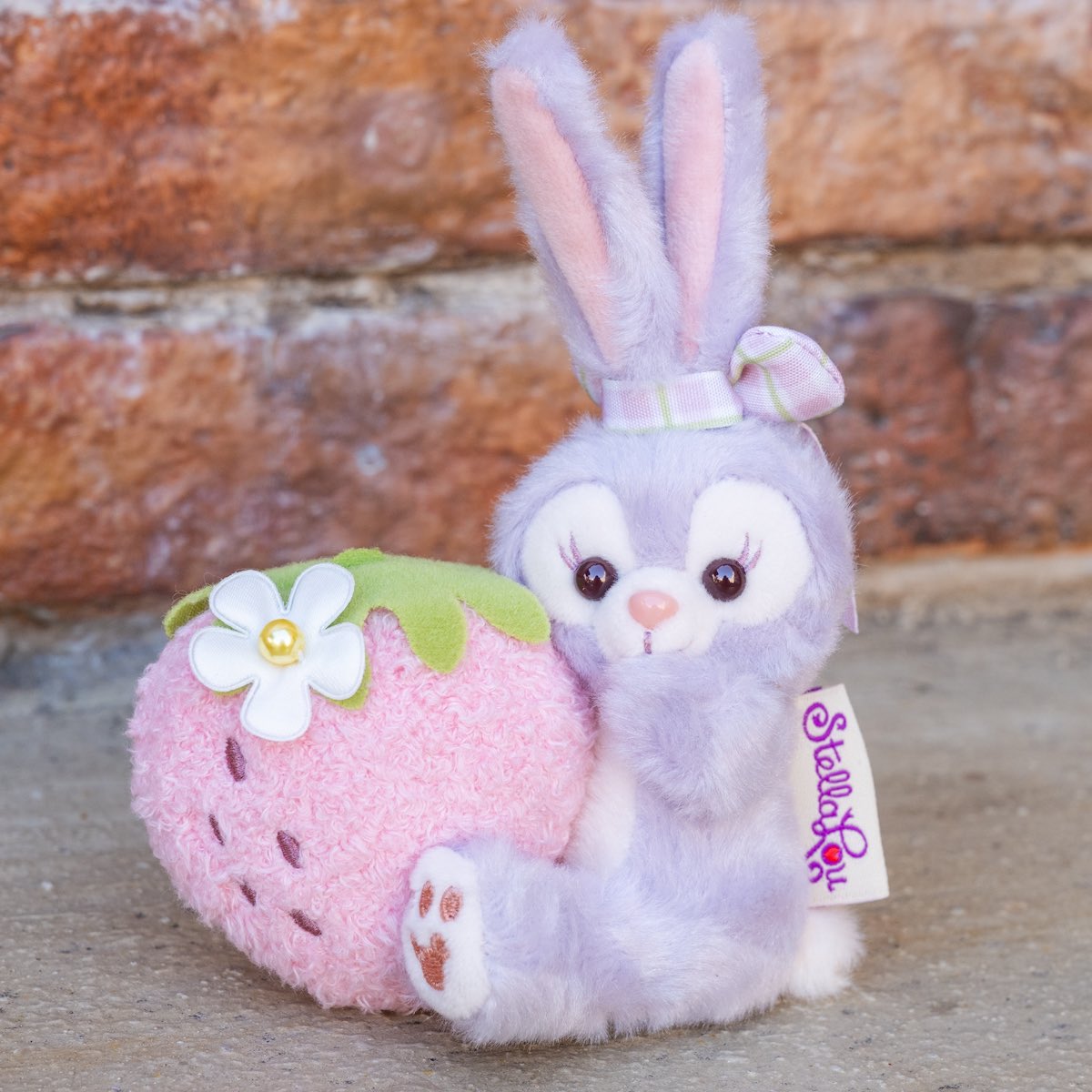 ステラルーハートフェルトストロベリーギフト ディズニーシー ハート