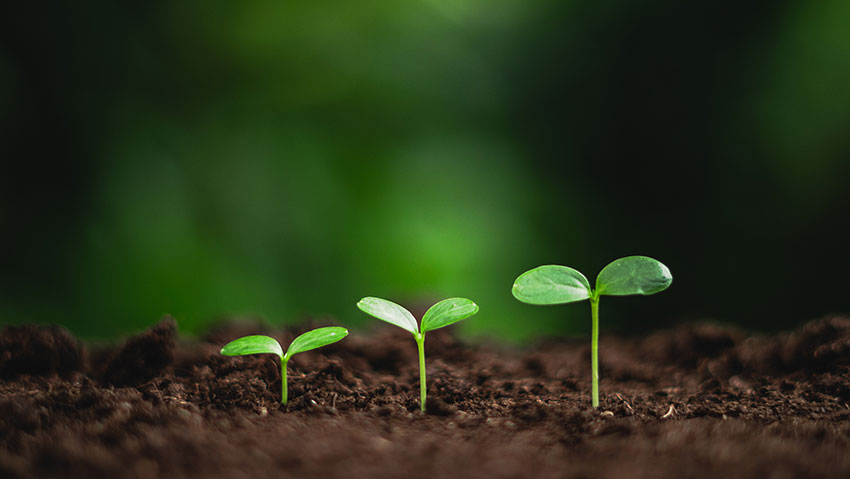 EtudesEco tweet media