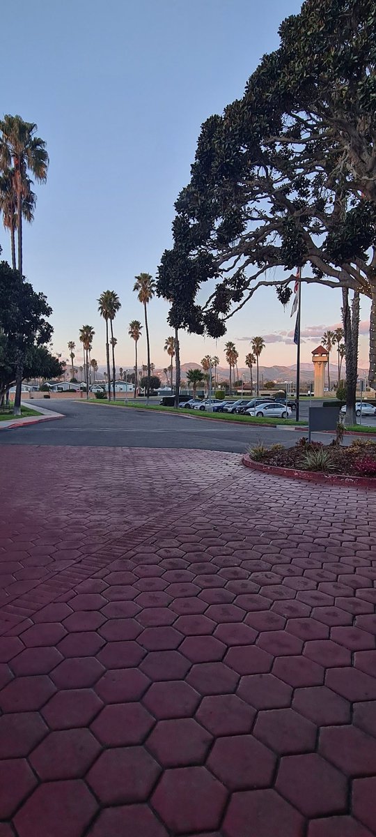 Hala Kasmo tweet media