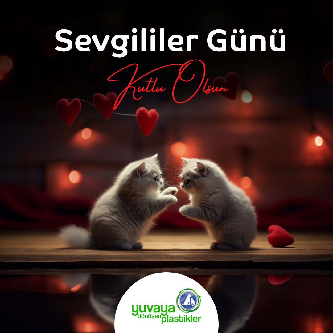 Her cana sevgiyle… Sevgililer Günü kutlu olsun. #yuvayadönüşenplastikler #sevgililergünü #geridönüşüm #plastikyuva #plastik #plastic #sıfıratık #zerowaste #recyle #ecofriendly #greenliving #doğa #nature #sustainable #sürdürülebilirlik #sustainableliving #environment