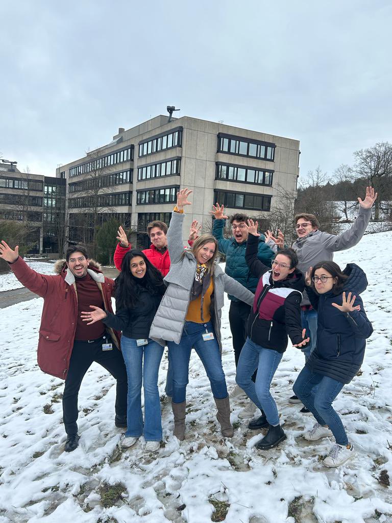 Arnold_lab tweet media