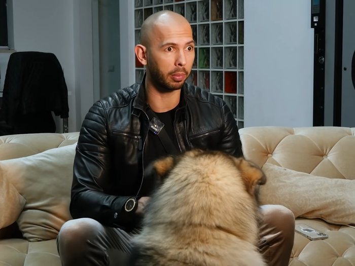 Apollo - Tate's Dog tweet media