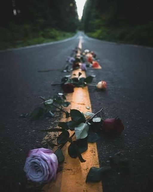 AdeelMagrayNEP's tweet photo. ہر کامیاب شخص کی اک دردناک کہانی ہوتی ہے اور ہر درد بھری کہانی کا خوش کن انجام ہوتا ہے درد کو قبول کریں اور کامیابی کی تیاری کریں https://t.co/bALyfJpJoO