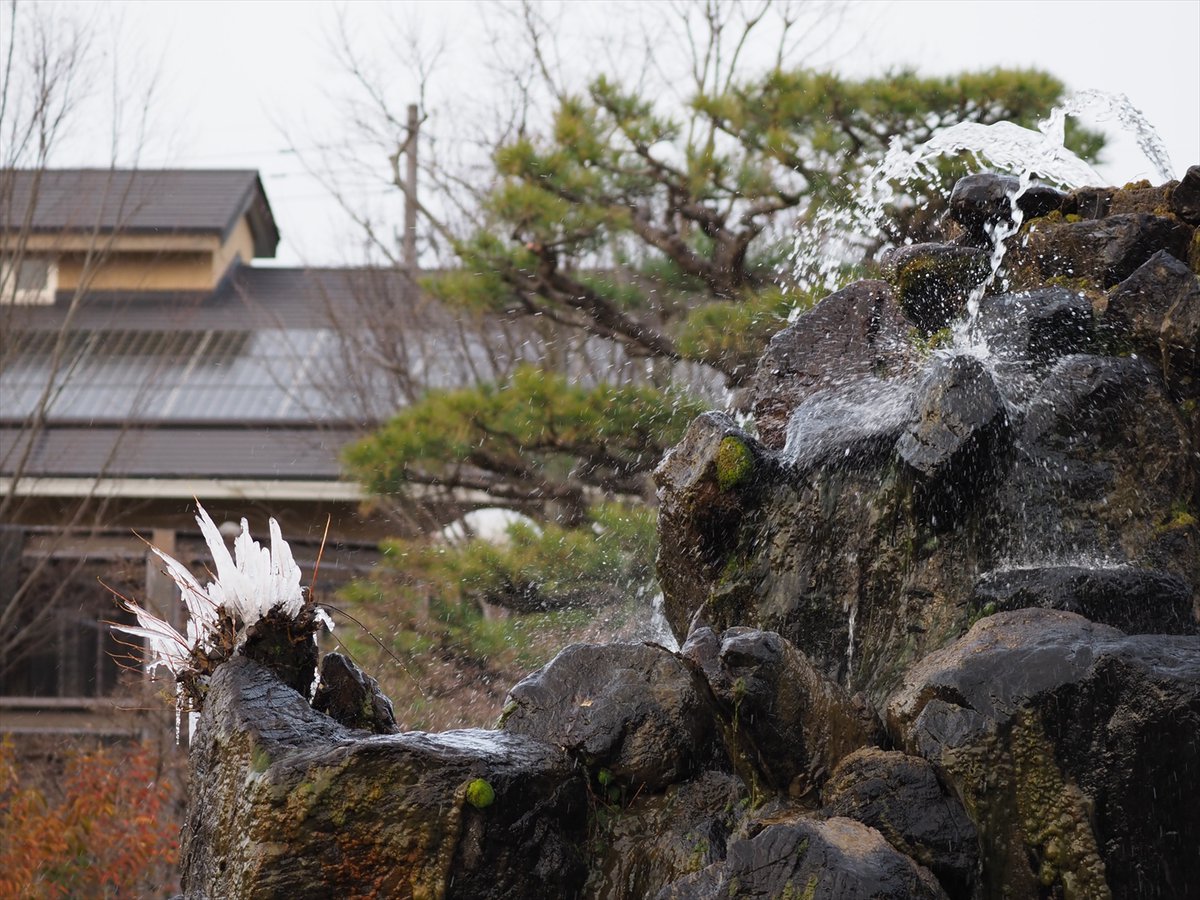 噴水池に今季初のしぶき氷ができていました。
明日はどうなるでしょうか？

#京都市動物園 #kyotocityzoo #噴水池  #寒波 #しぶき氷 #今季初 #氷の芸術 #fountainpond #coldwave #splashingice #firsttime #iceart