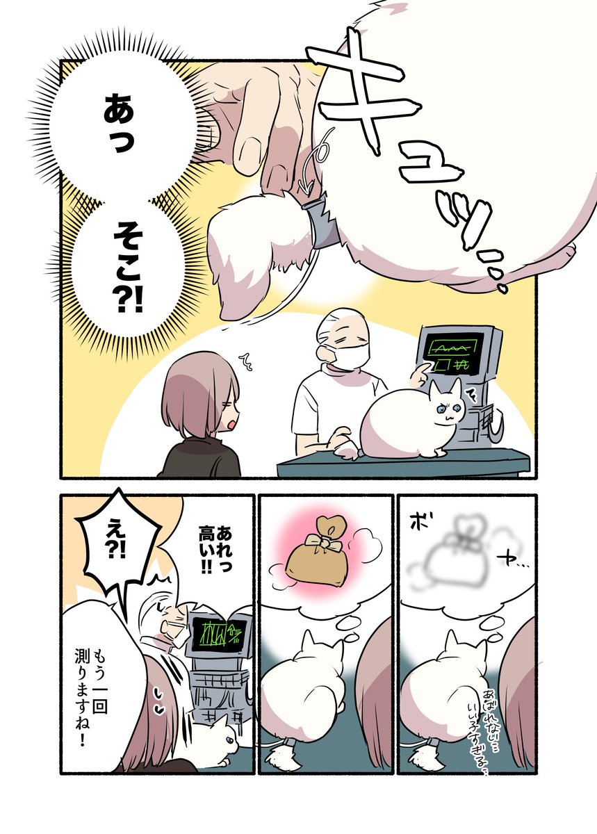 猫の血圧、どこで測るかご存知ですか? (2/2) #漫画が読めるハッシュタグ #愛されたがりの白猫ミコさん コミックス発売中です👇 