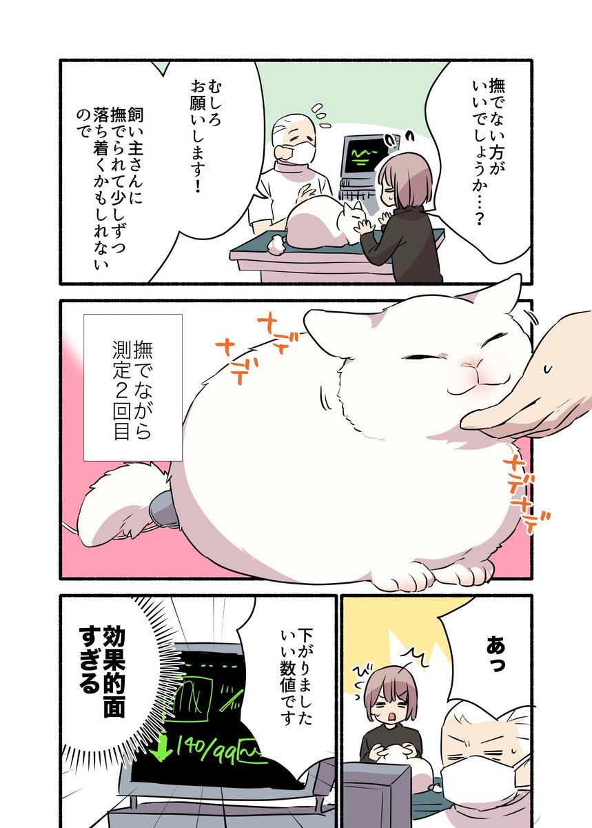 猫の血圧、どこで測るかご存知ですか? (2/2) #漫画が読めるハッシュタグ #愛されたがりの白猫ミコさん コミックス発売中です👇 