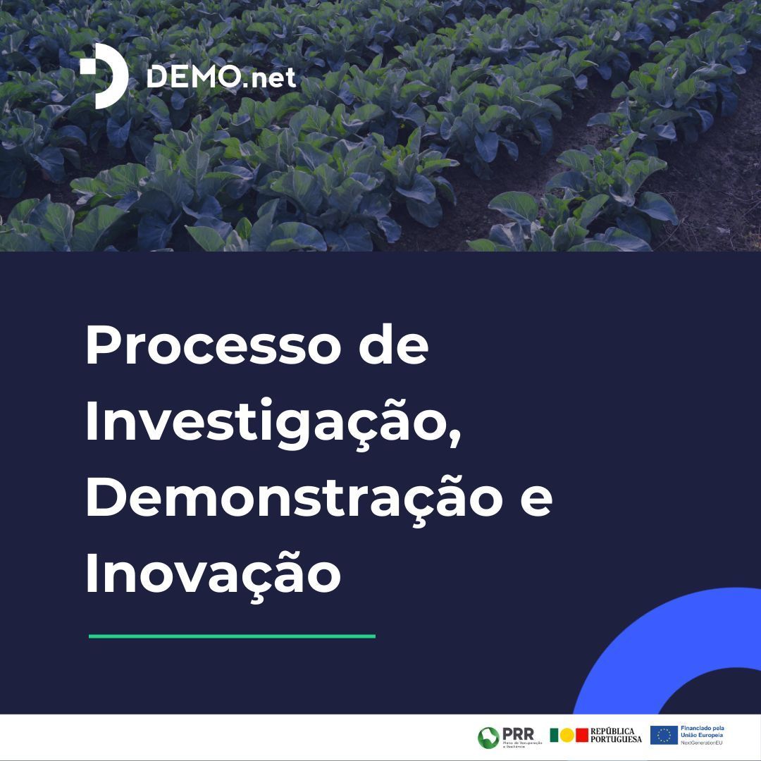 🔊 O Processo de Investigação, Demonstração e Inovação é também conhecido como o método de "aprender vendo/ aprender testando" onde há transferência de conhecimento de instituições educacionais ou de investigação e troca de conhecimento entre técnicos e agricultores