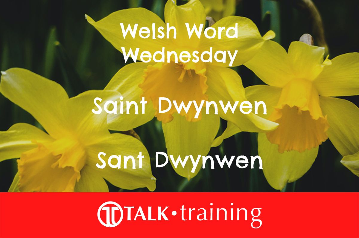 Welsh Word Wednesday – 24/01/2024 – #WelshWednesday talktraining.co.uk/welsh-word-wed…
