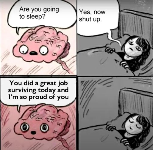 WholesomeMemes (@wholesomememe) on Twitter photo 