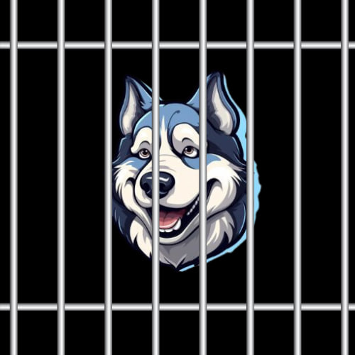 Apollo - Tate's Dog tweet media
