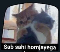 Ruchi ¥$_ ₿🇮🇳 tweet media