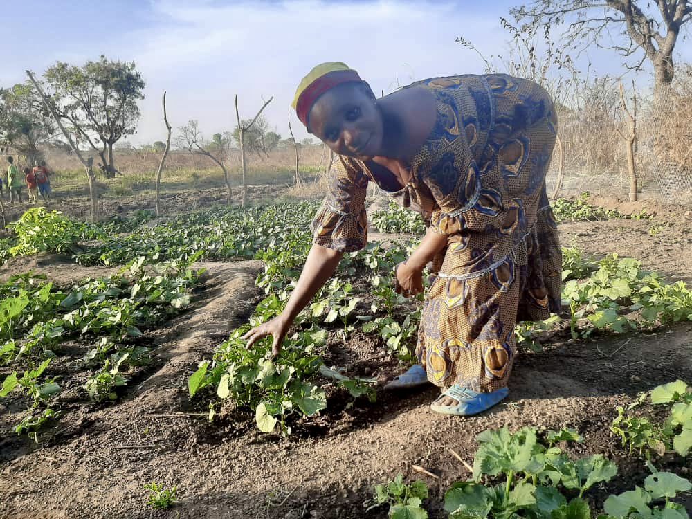 angelalusigi's tweet photo. I met Jamilatu &amp; other amazing #women vegetable farmers in Dupare in Upper West region🇬🇭.

300 women granted access to 10ha land by Chiefs &amp; supported by @UNDP @GEF_SGP,  now grow vegetables for food &amp; income. 

Let's empower more women #ForPeopleForPlanet. https://t.co/MxafEqeJHg