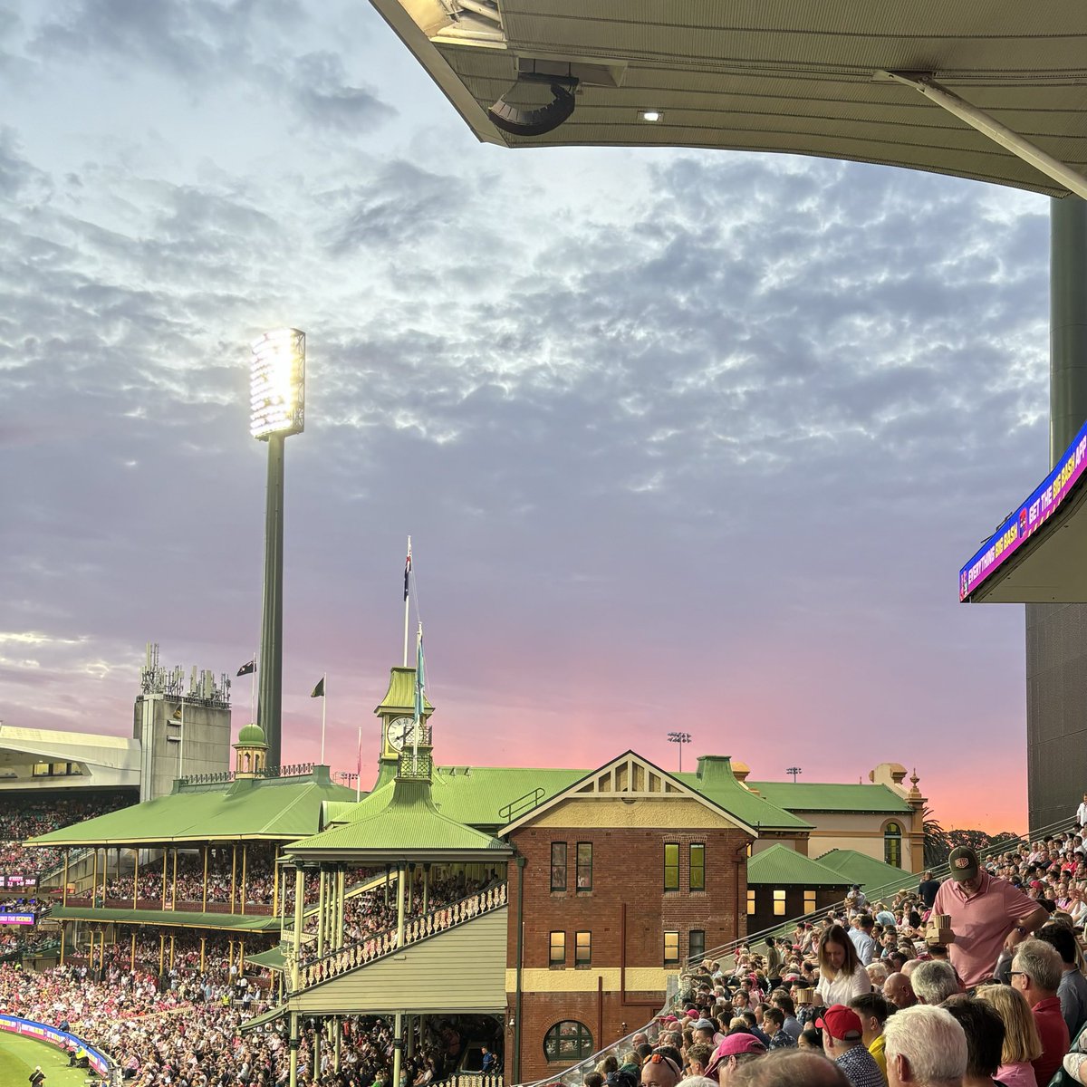 DJandGoose's tweet photo. Summer nights at the SCG https://t.co/y795Qgnx9J
