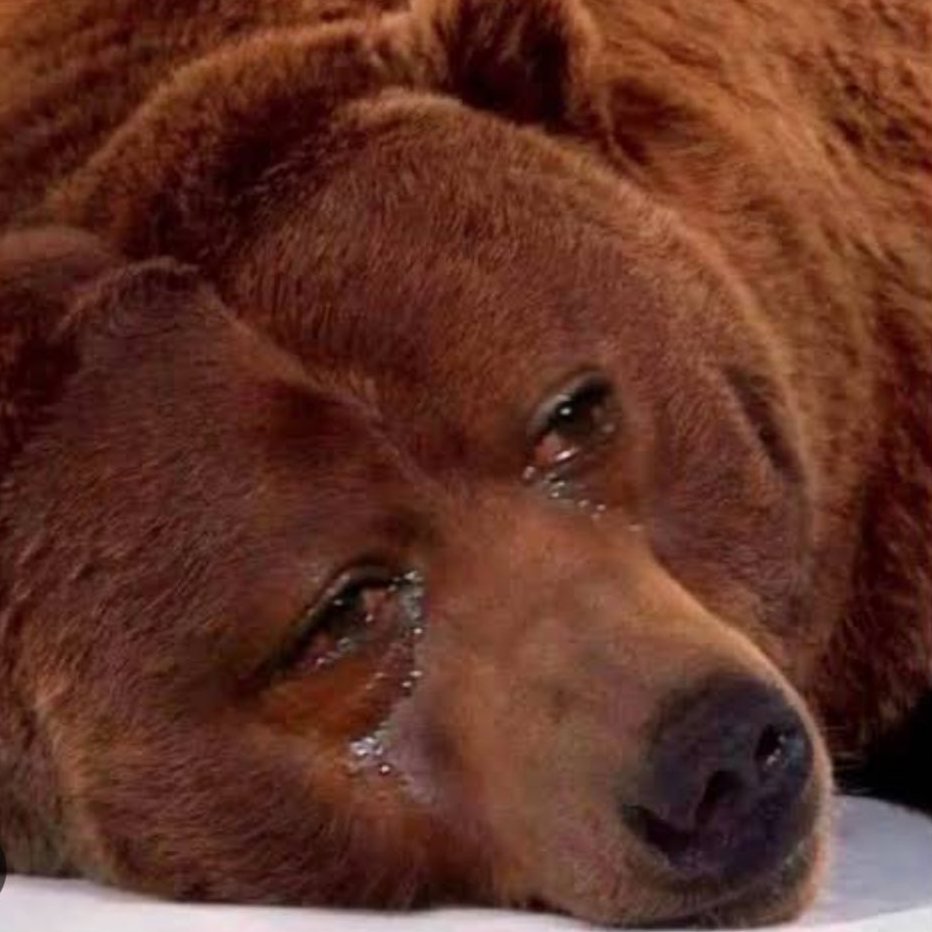 #Bitcoin reclaimed $40K 

Bears right now 👇