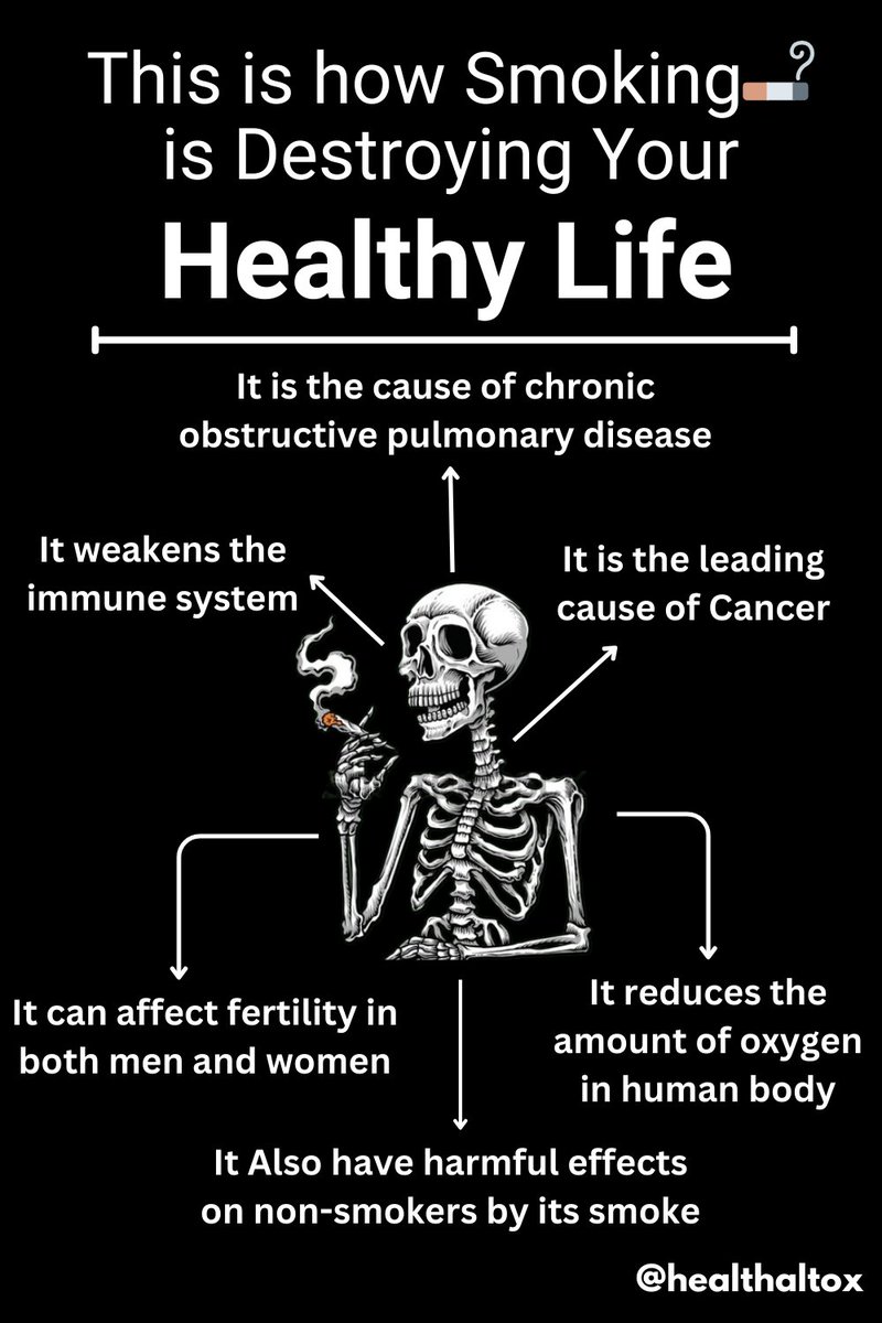 HealthAltox's tweet photo. Smoking Kills! 
If you want to explore more about how smoking is destroying your healthy life then visit our site | https://t.co/LS9aAdd170 | 
https://t.co/YEfHgZQGGG https://t.co/M4UP5XAuHF