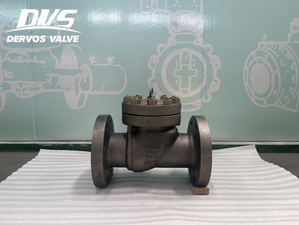 DervosValve's tweet image. 4&apos;&apos; 600LB Swing Check Valve RF WCB API6D
dvsvalve.com/4-600lb-swing-…
#dervos #industrialvalves #swingcheckvalves