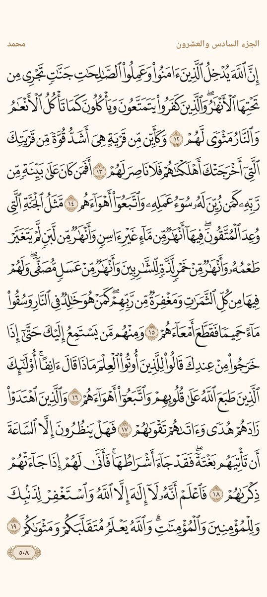 AlMosahf's tweet photo. ورد الخميس https://t.co/6B9F7EfvXS