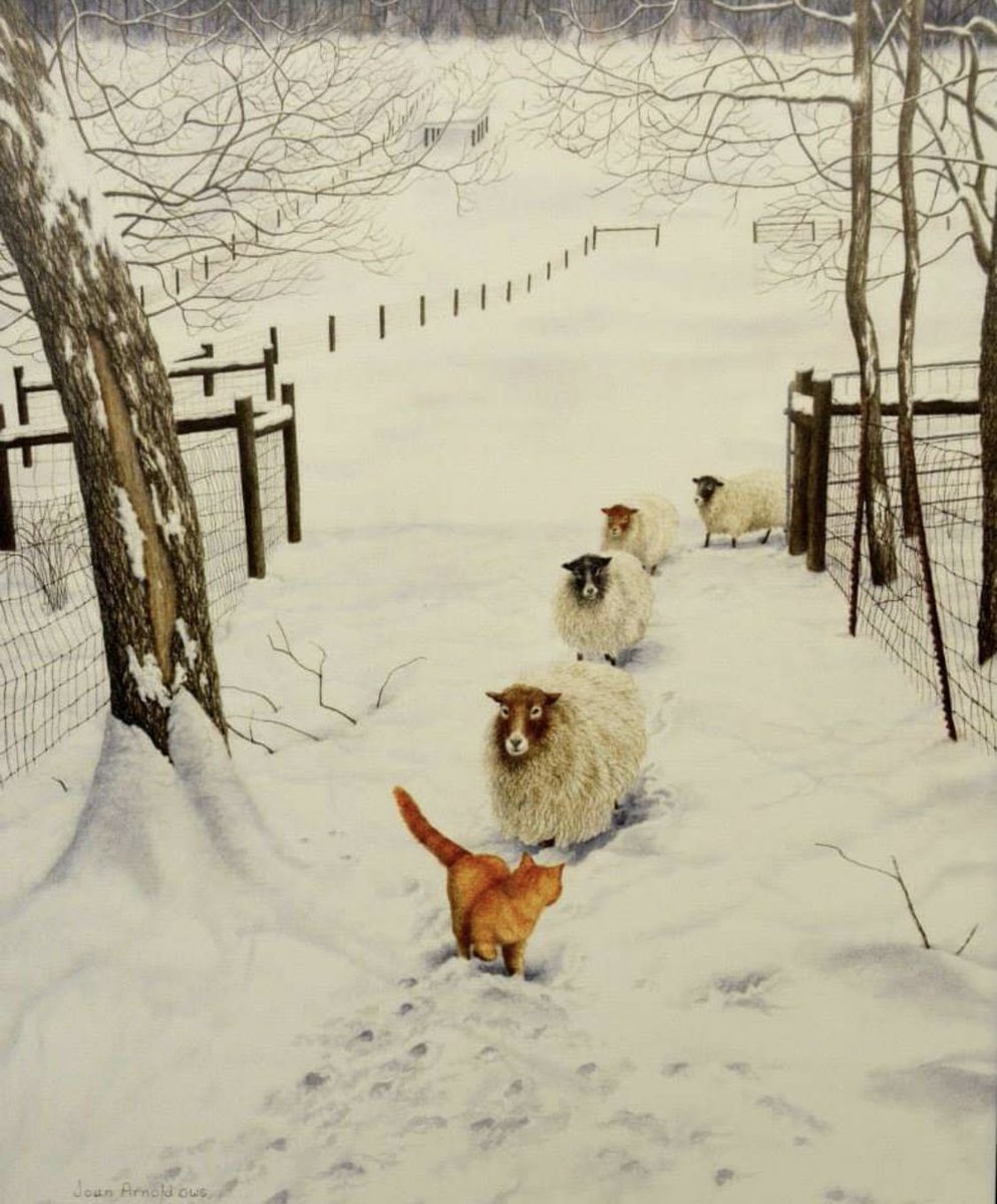 CarlyanneMcCon1's tweet photo. Happy new day friends🙋‍♀️💜🕊

Art by Joan Arnold https://t.co/R3ose4ftYX