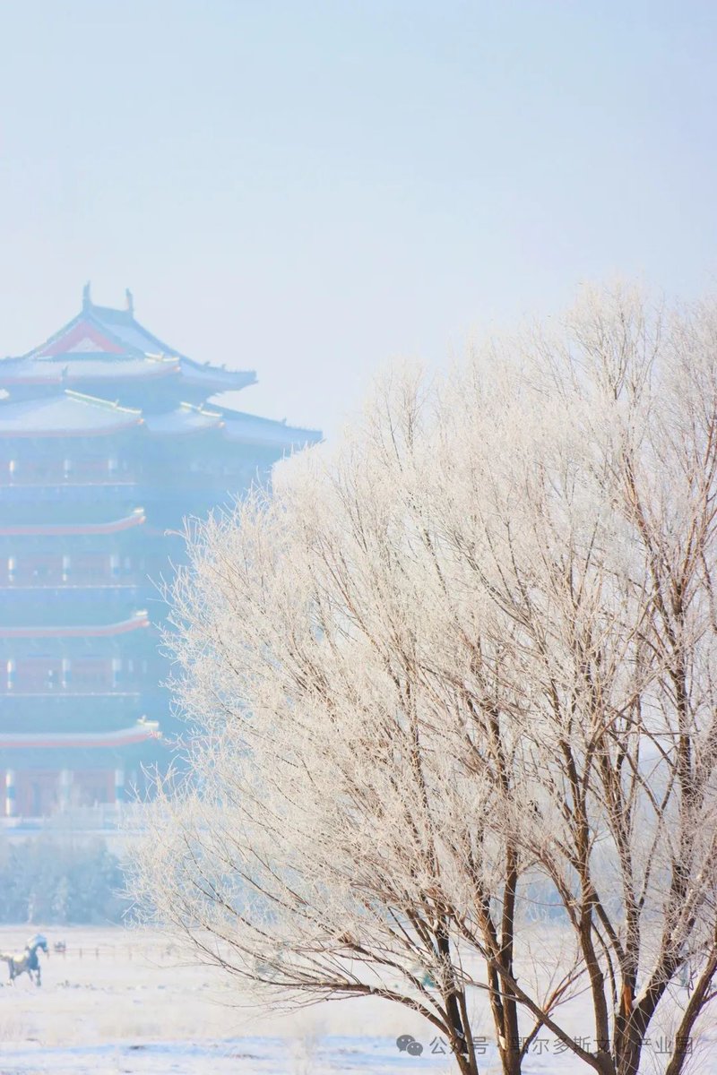 OrdosChina's tweet photo. ❄️❄️The first #snow of 2024 has transformed #Ordos into a mesmerizing wonderland. The breathtaking #rime that is now found around the city is like a dream come true. Join us as we embrace nature's enchanting beauty! 😍#BeautifulOrdos https://t.co/sNBQDySzBZ