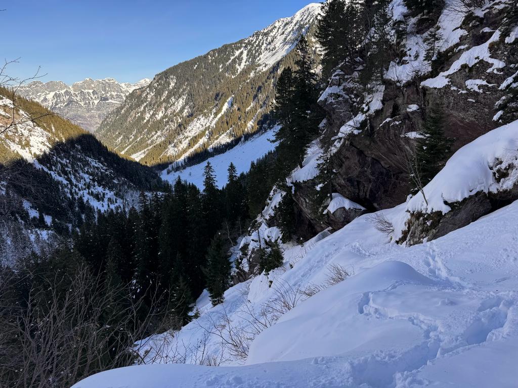 Shannon Bella tweet media