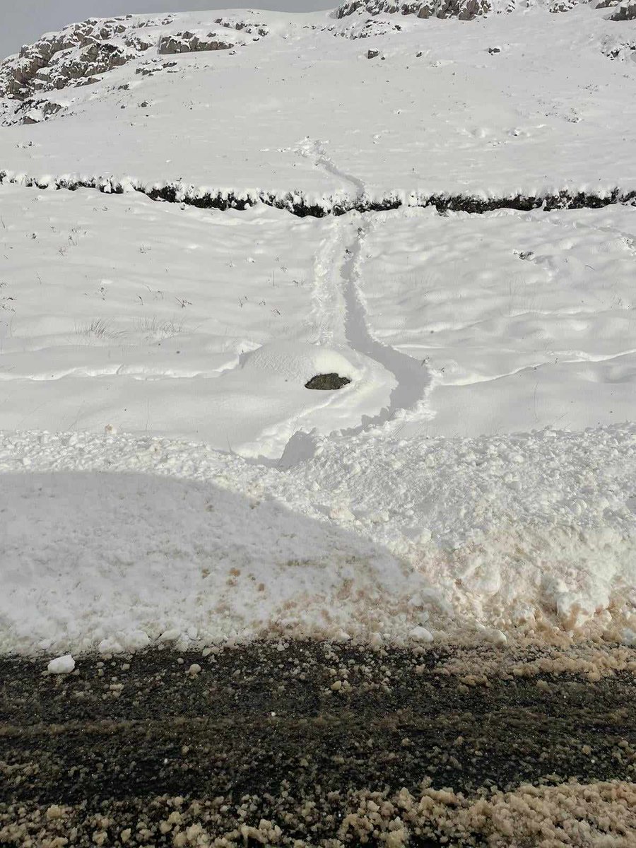 Scottish Gamekeepers tweet media