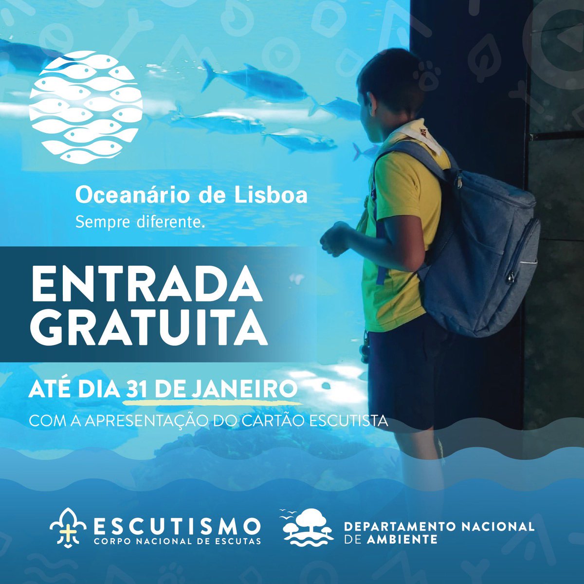 O Oceanário de Lisboa oferece-te um bilhete de entrada, com a apresentação do teu cartão de escuteiro! - esta oferta é válida até 31 de janeiro de 2024. 🎟️🐠

🐡 Nota: Deves recolher o teu bilhete na bilheteira do Oceanário.

#oceanariodelisboa <a href="/OceanarioLisboa/">Oceanário</a> #escutismo