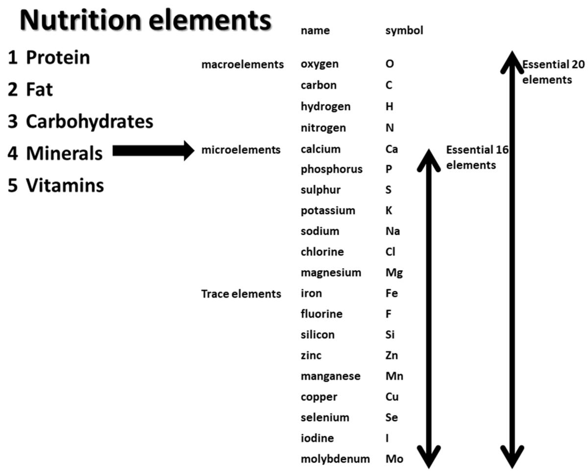 Kidneydial_MDPI's tweet photo. Trace Elements and Their Management in #Dialysis Patients—Pathophysiology and Clinical Manifestations

Full text👉 https://t.co/QB9Q26o596 

#traceelements 
#zinc 
#selenium 
#nutrition https://t.co/YIYy444fT8