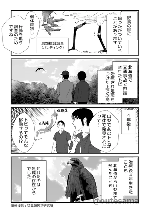 「飛べ飛べとんび」