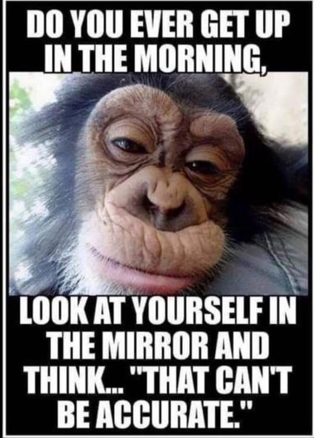 😂🤣😂🤣😂