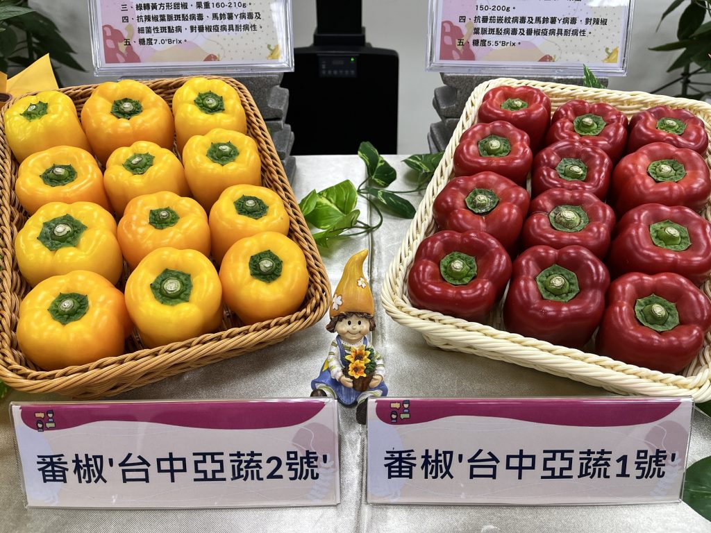 【聯袂出擊！國產彩椒2新品種 最快明年上市】 國內彩色甜椒需求逐漸增加，但主要品種均為歐美國家育成及進口。農業部臺中區農業改良場與「亞蔬─世界蔬菜中心」合作育成紅、黃色甜椒「台中亞蔬1號、2號」，果肉厚、甜度高，果面平滑有光澤，高產且具多種抗病性 全文：agriharvest.tw/archives/112488